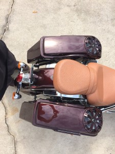 Custom molded saddle bags and Ostrich seat