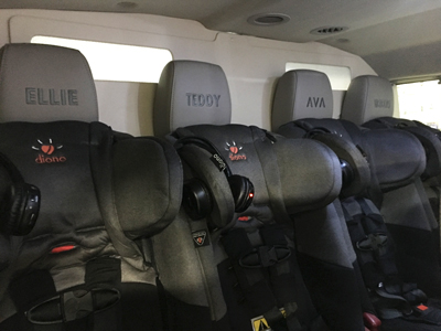 custom sprinter van